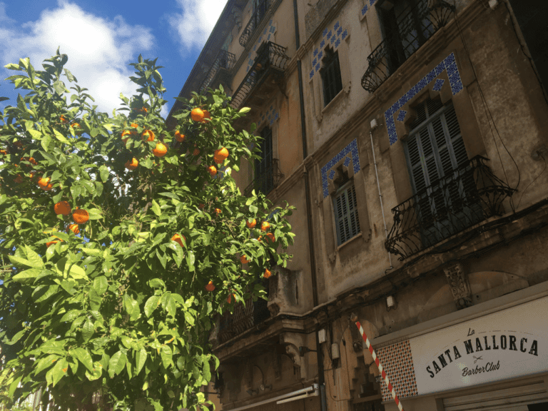 6-kulinarische-spezialitaeten-aus-mallorca