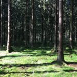 trailrunning-frankenwald