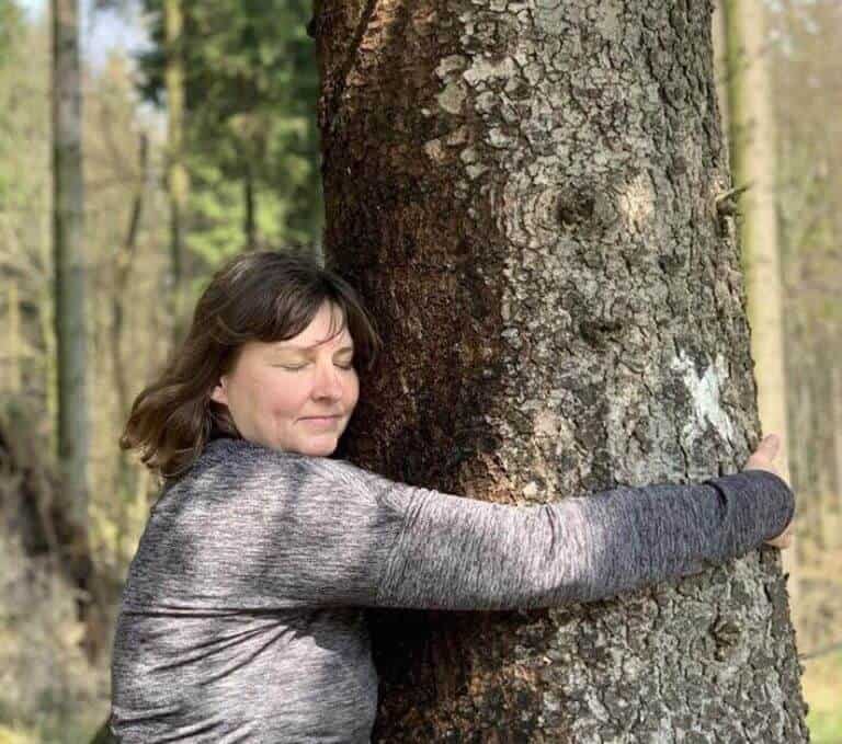 treehugging und waldbaden