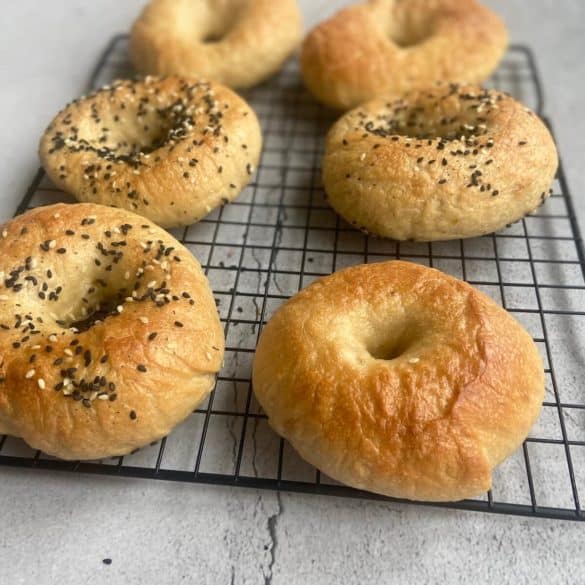 new york style original bagel