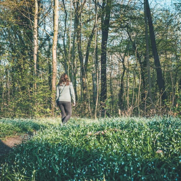 spaziergang frühling berlin