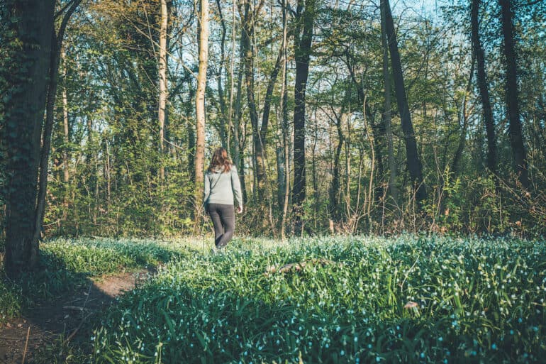 spaziergang frühling berlin