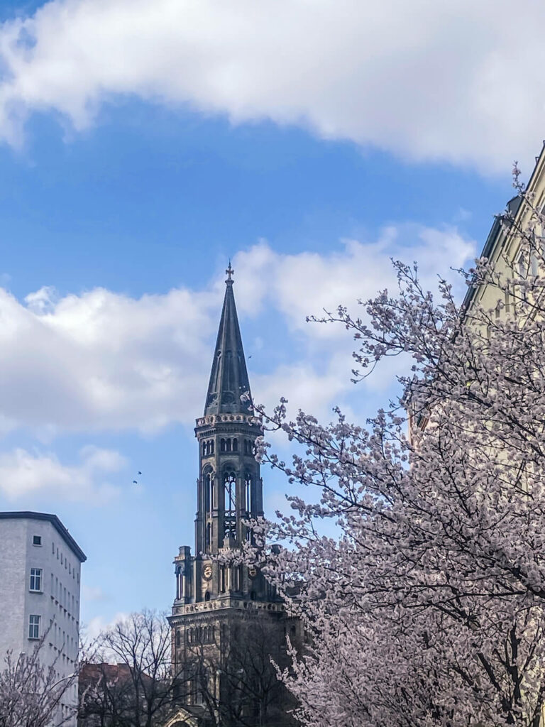 Kirschblüten spaziergang Prenzlauer Berg Zionskirche