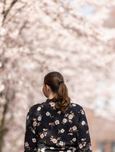 Kirschblüten Spaziergang Berlin schönste Orte