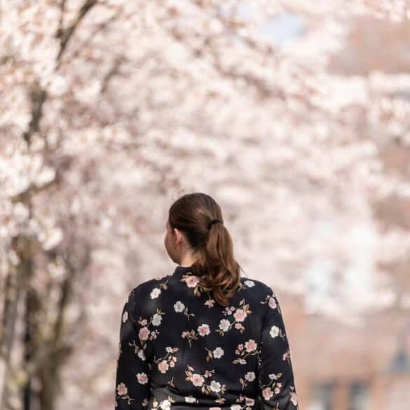 Kirschblüten Spaziergang Berlin schönste Orte