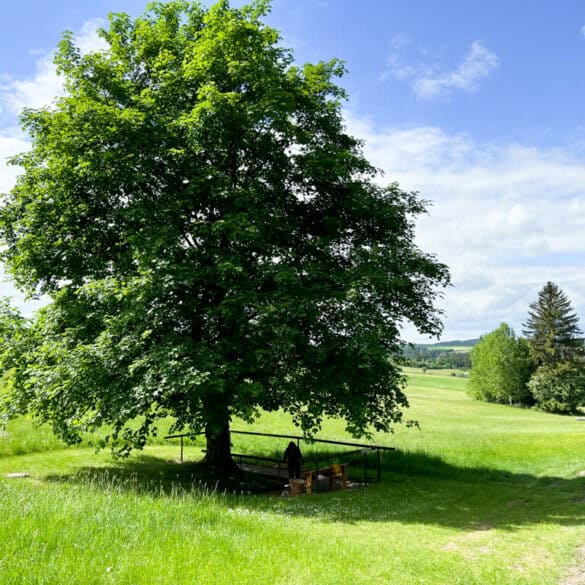 Kneipp Becken Bad Steben Frankenwald