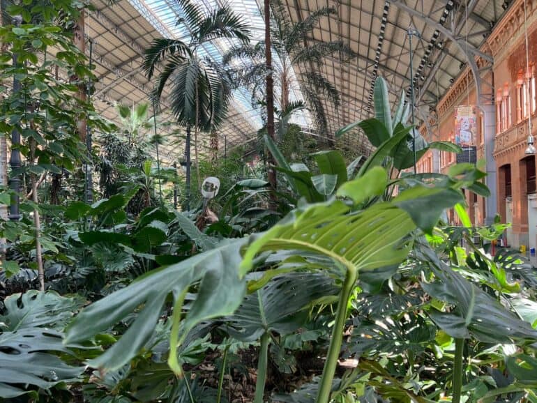 madrid atocha palmengarten