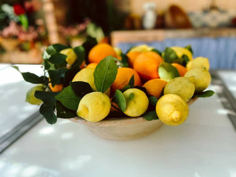 orangenplantage soller
