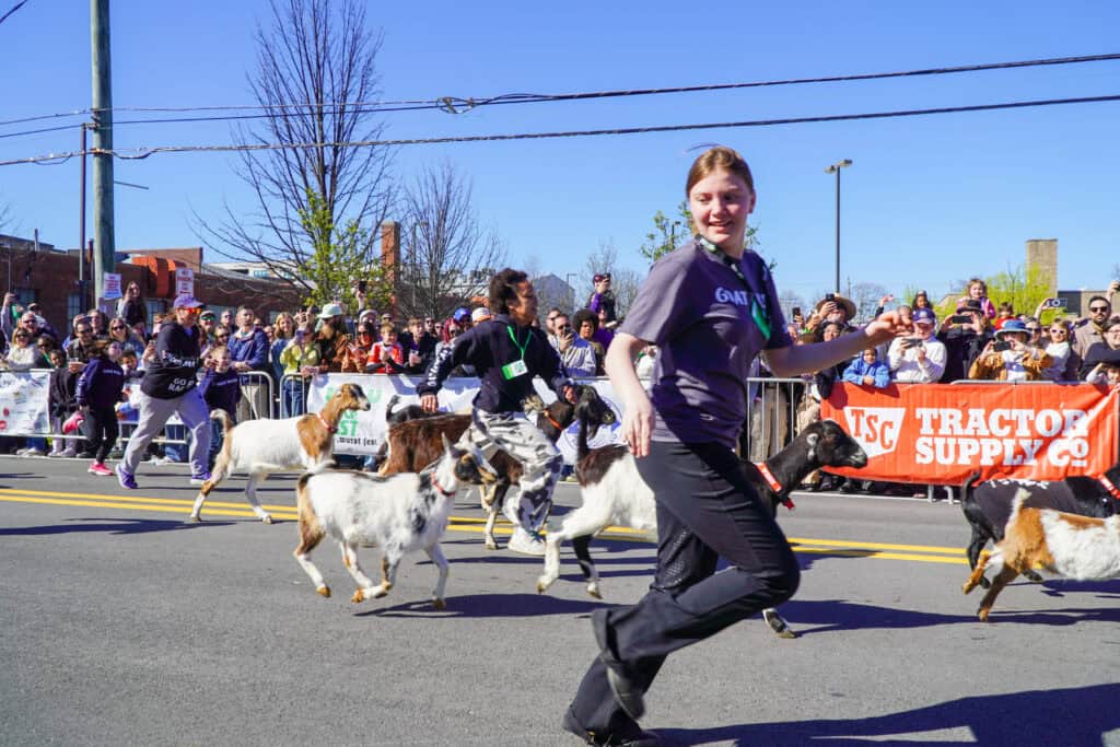 NuLu Bockfest Ziegenrennen Louisville