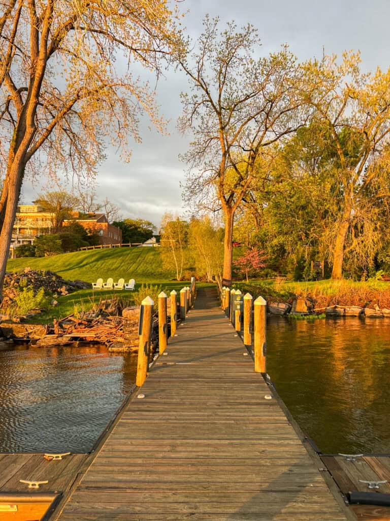 cayuga lake ny state