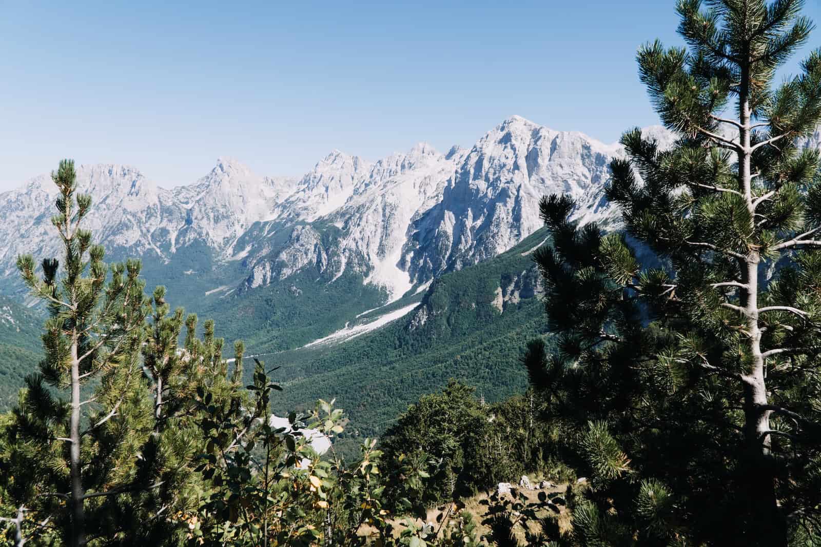Blick durch Kiefern auf die felsigen Gipfel der Prokletije auf Etappe 1