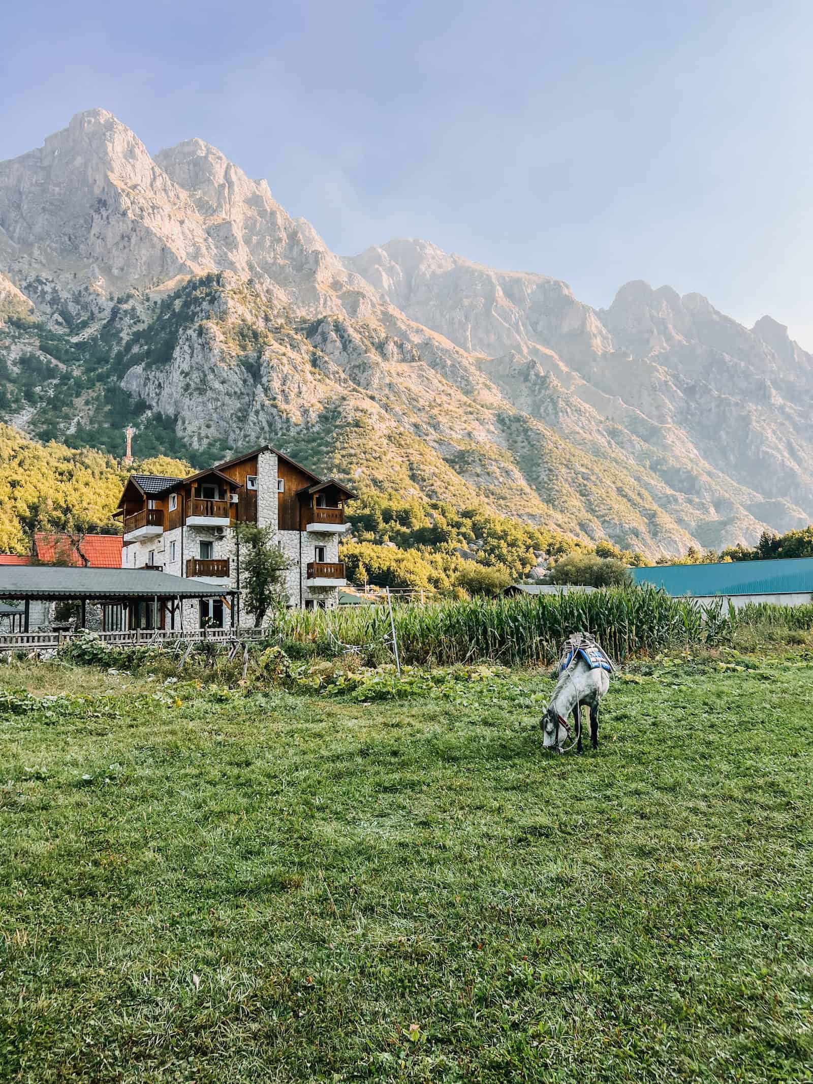 Grauer Schimmel grast morgens auf einer Wiese vor einem Berghaus und felsigen Gipfeln in Valbona