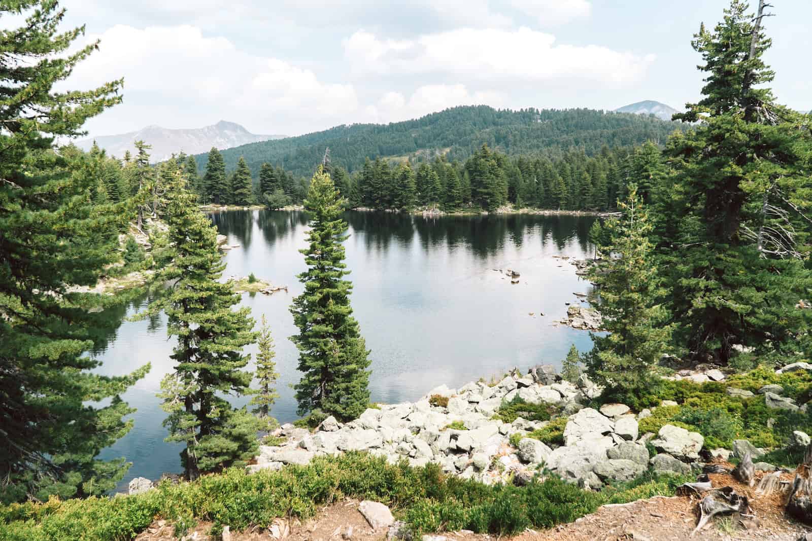 Bergsee im Fichtenwald auf Etappe 3 des Balkan Trails