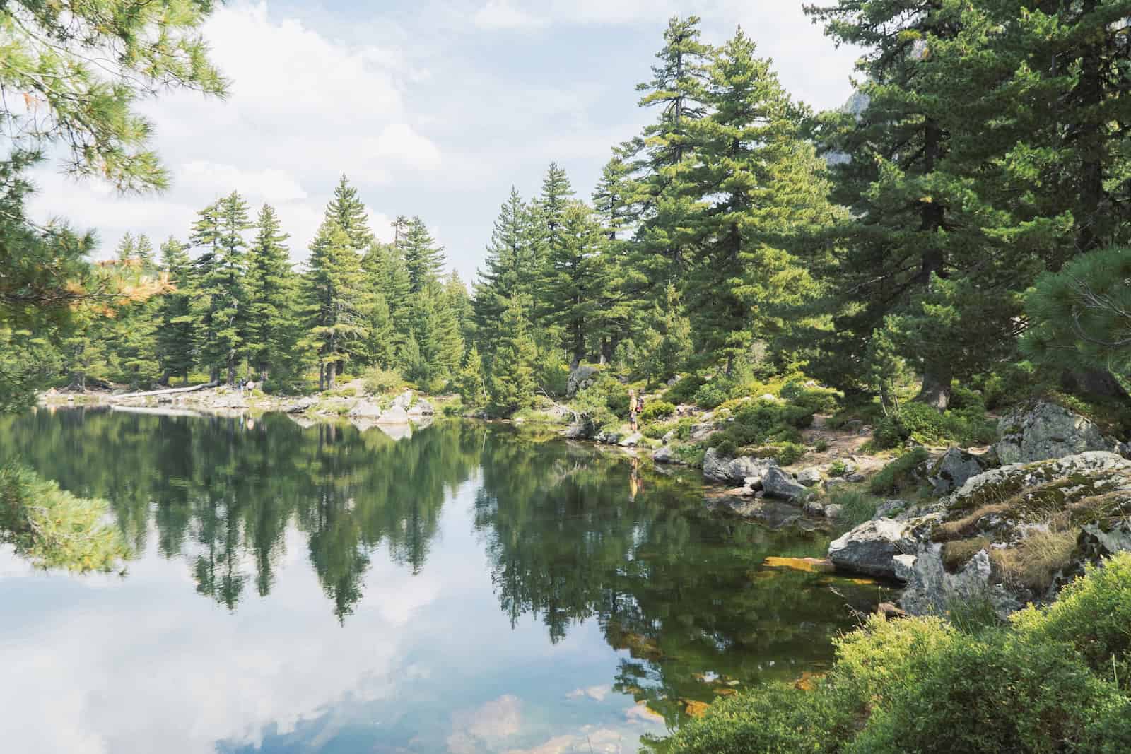 Ruhiger Waldsee mit Spiegelungen der Bäume auf Etappe 3