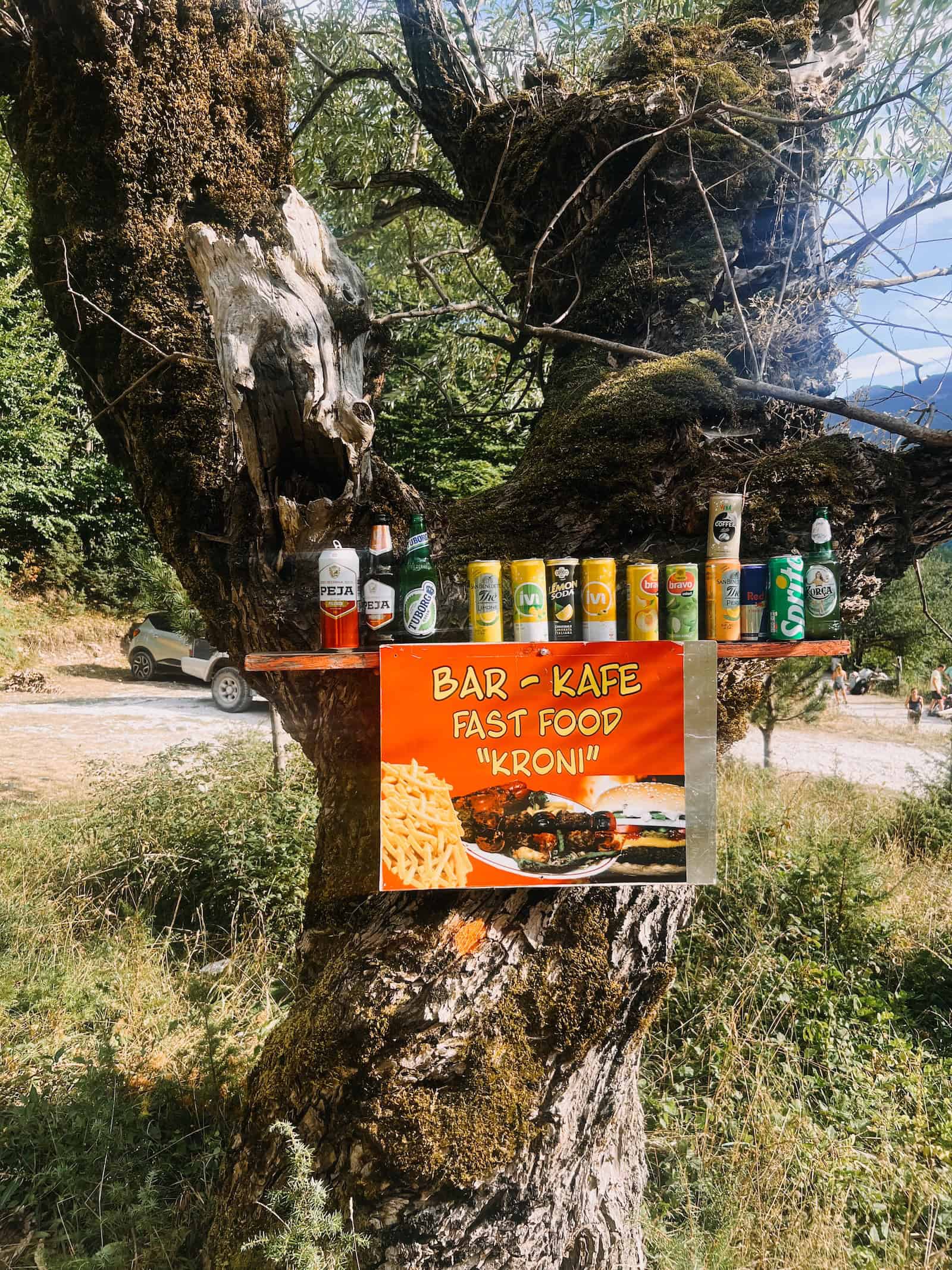 Orangefarbenes Schild der Bar Kroni mit Getränkedosen und Flaschen in einem alten Baum am Wegrand