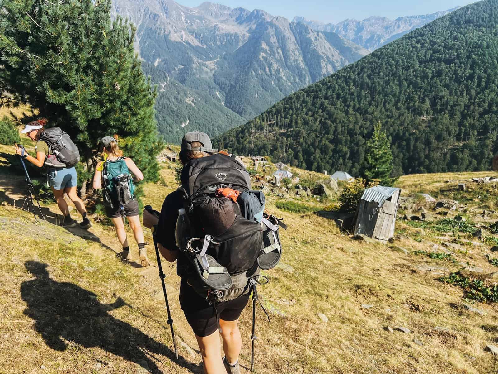 Drei Wanderer mit Rucksäcken und Wanderstöcken auf einem Hang mit Kiefernwald und Bergen im Hintergrund