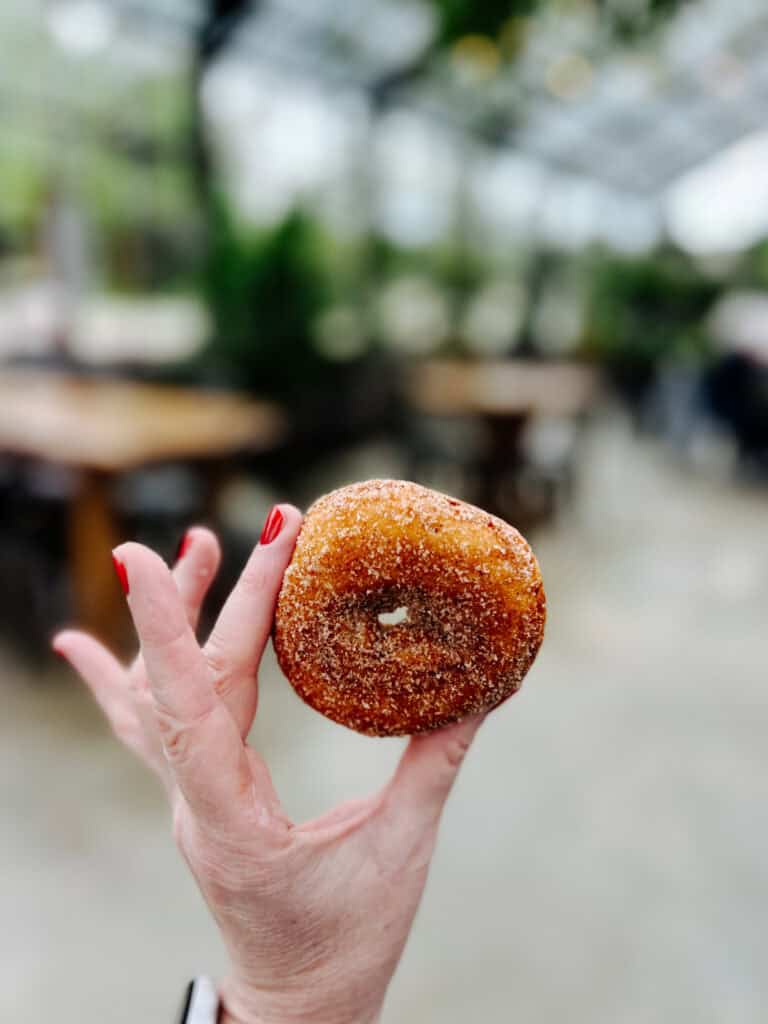 Apple Cider Donut